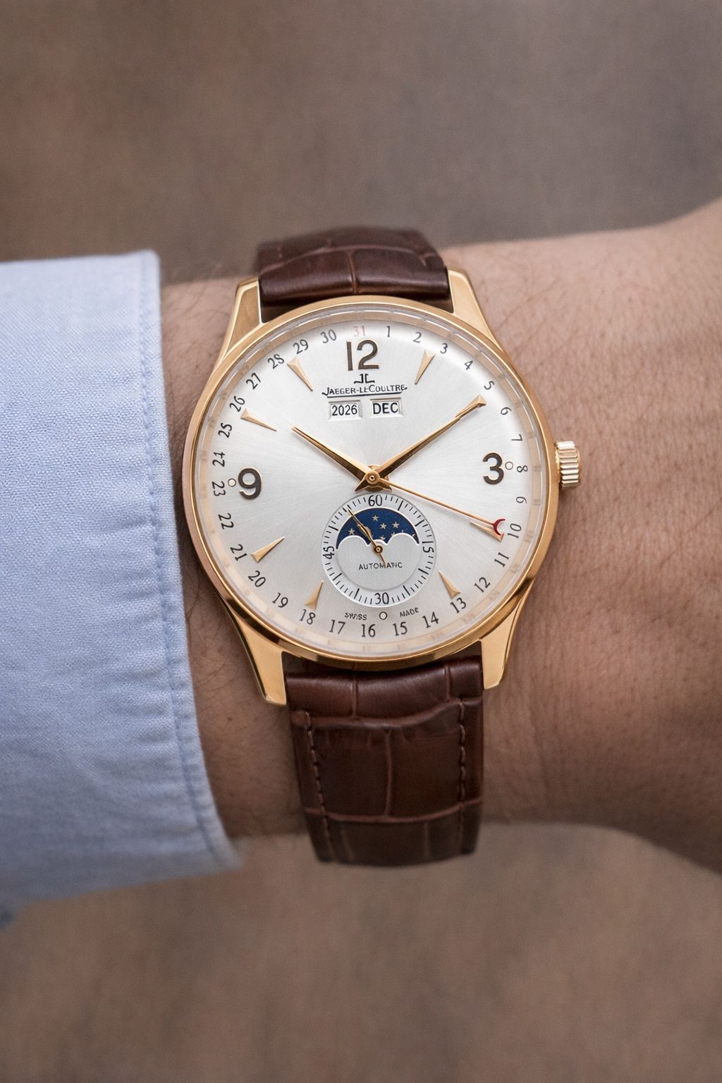 Fossil Skeleton Automatic Brown