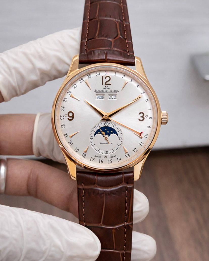 Fossil Skeleton Automatic Brown