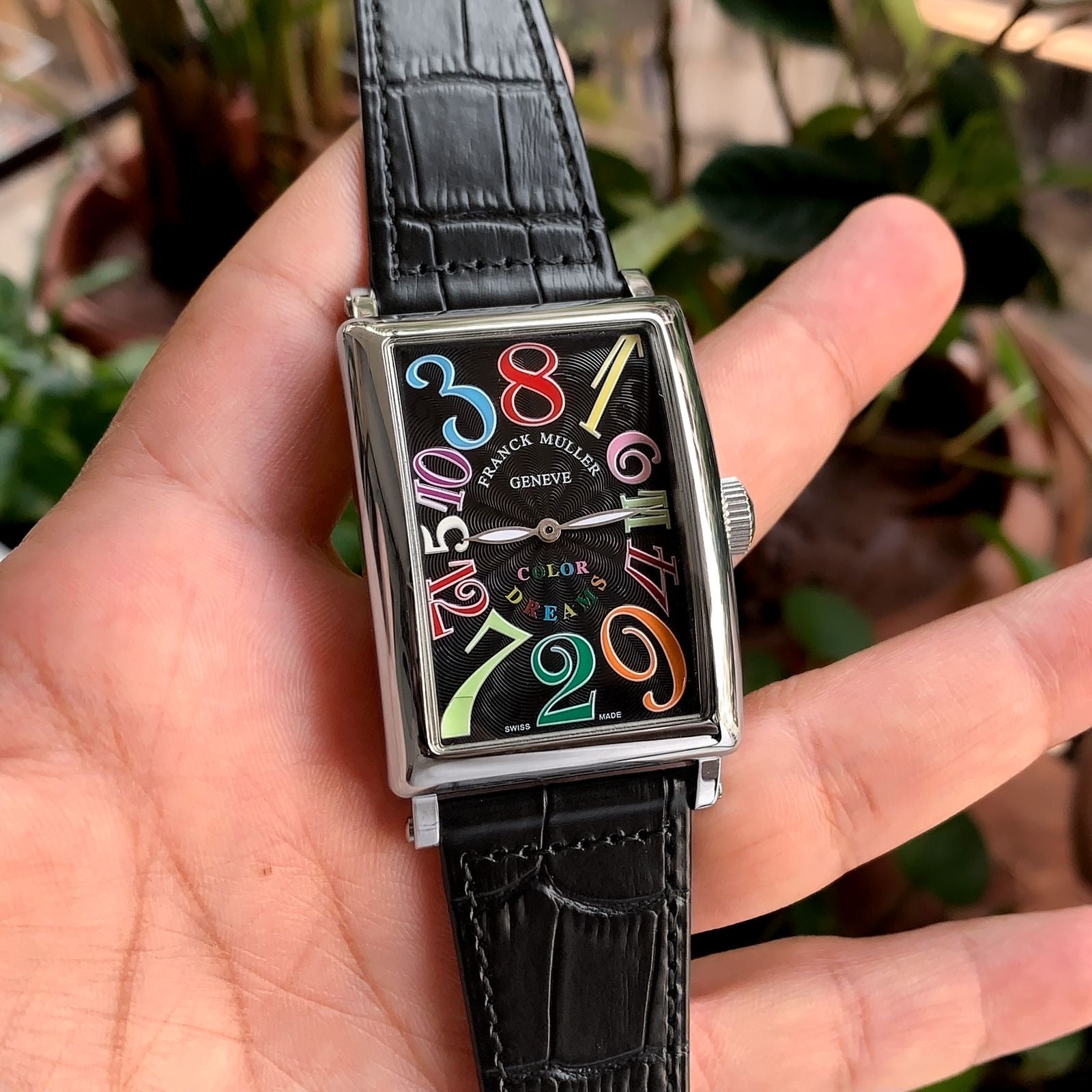 Franck Muller Black Automatic Island Crazy Color Dial