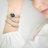 Just Cavalli Quartz Blue Dial