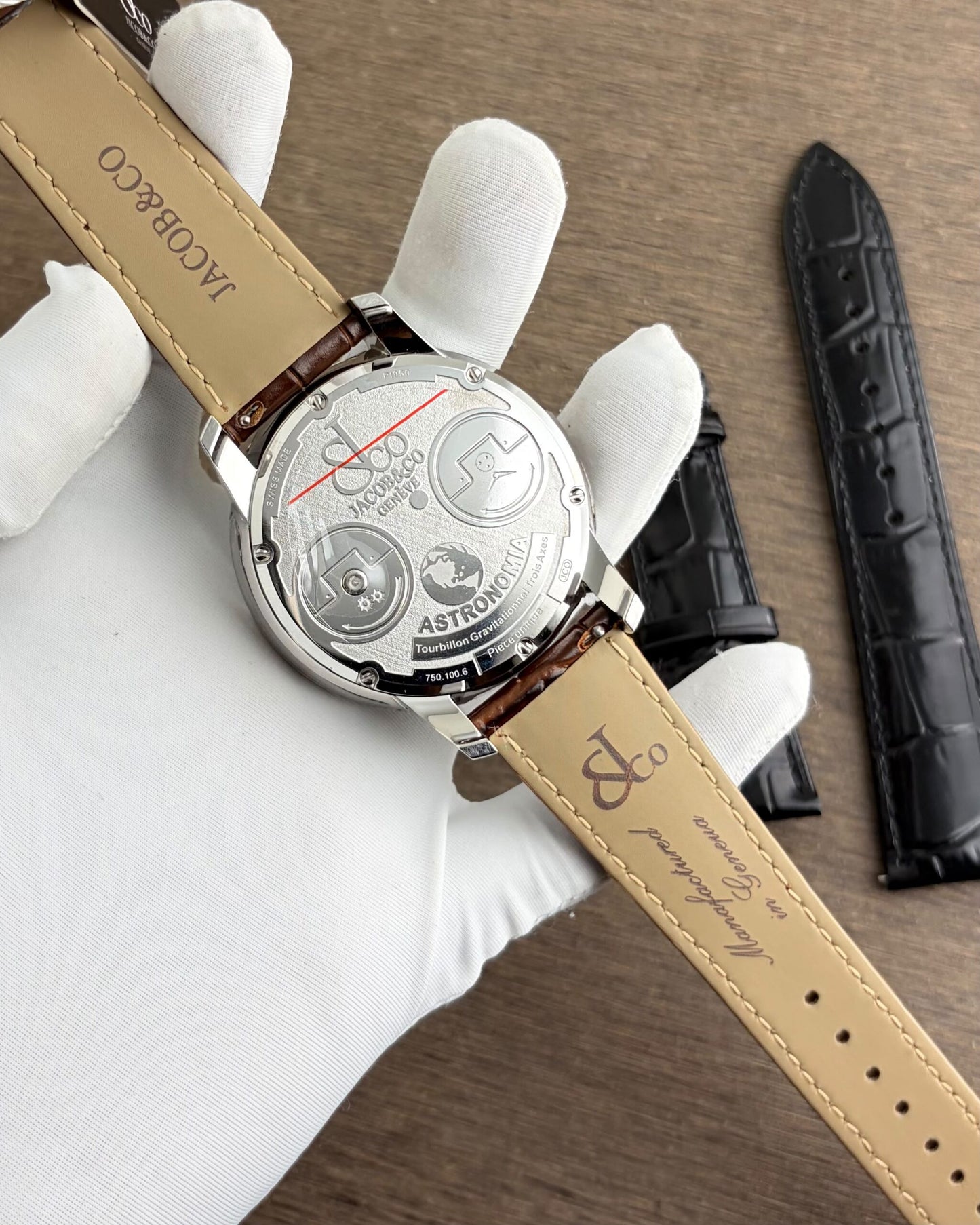 Jacob &amp; Co. Earth Edition Skeleton