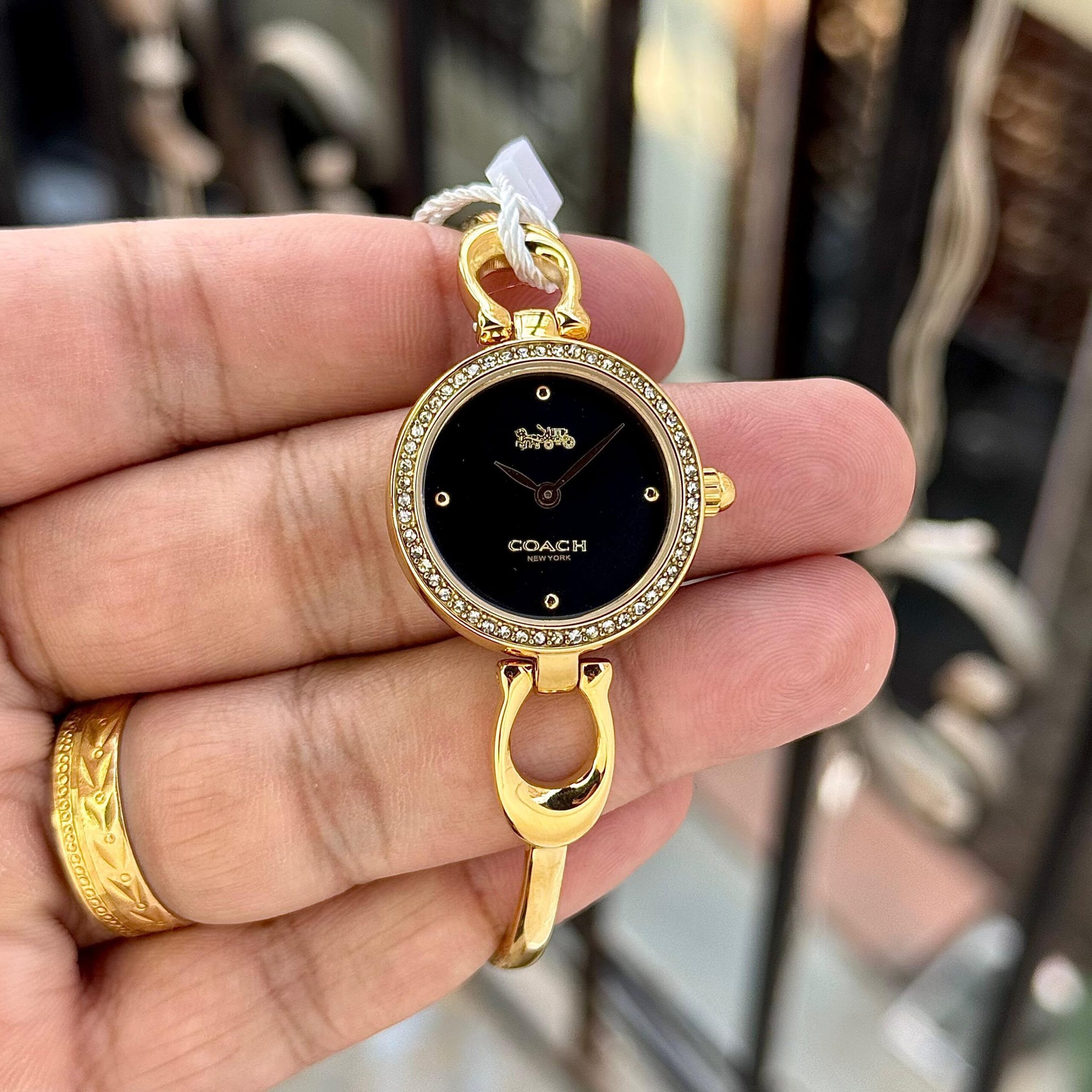 Coach Park Carnation Black Dial