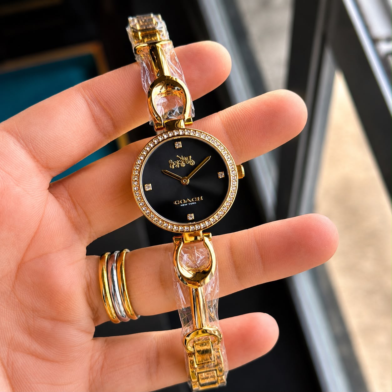 Coach Park Carnation Black Dial