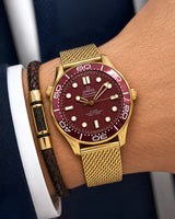 Omega Seamaster Wine Red Wave-Pattern Dial