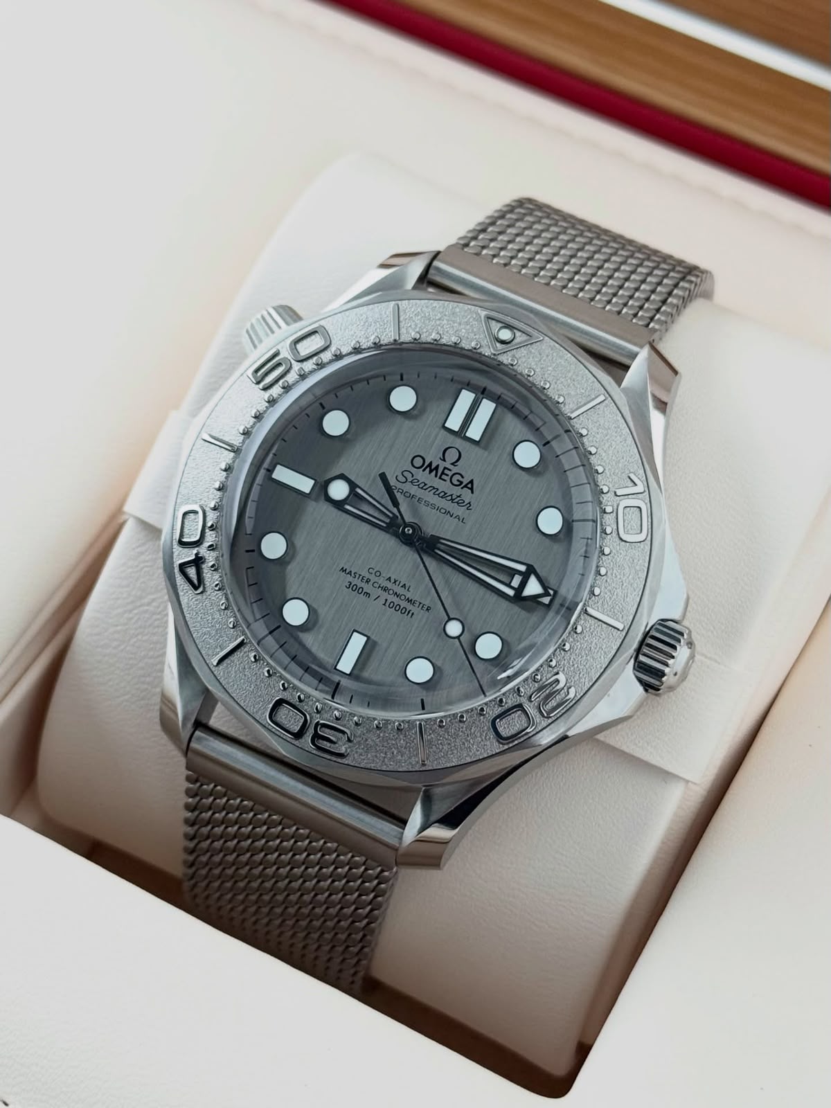Omega Seamaster Diver 300 Automatic Grey Dial