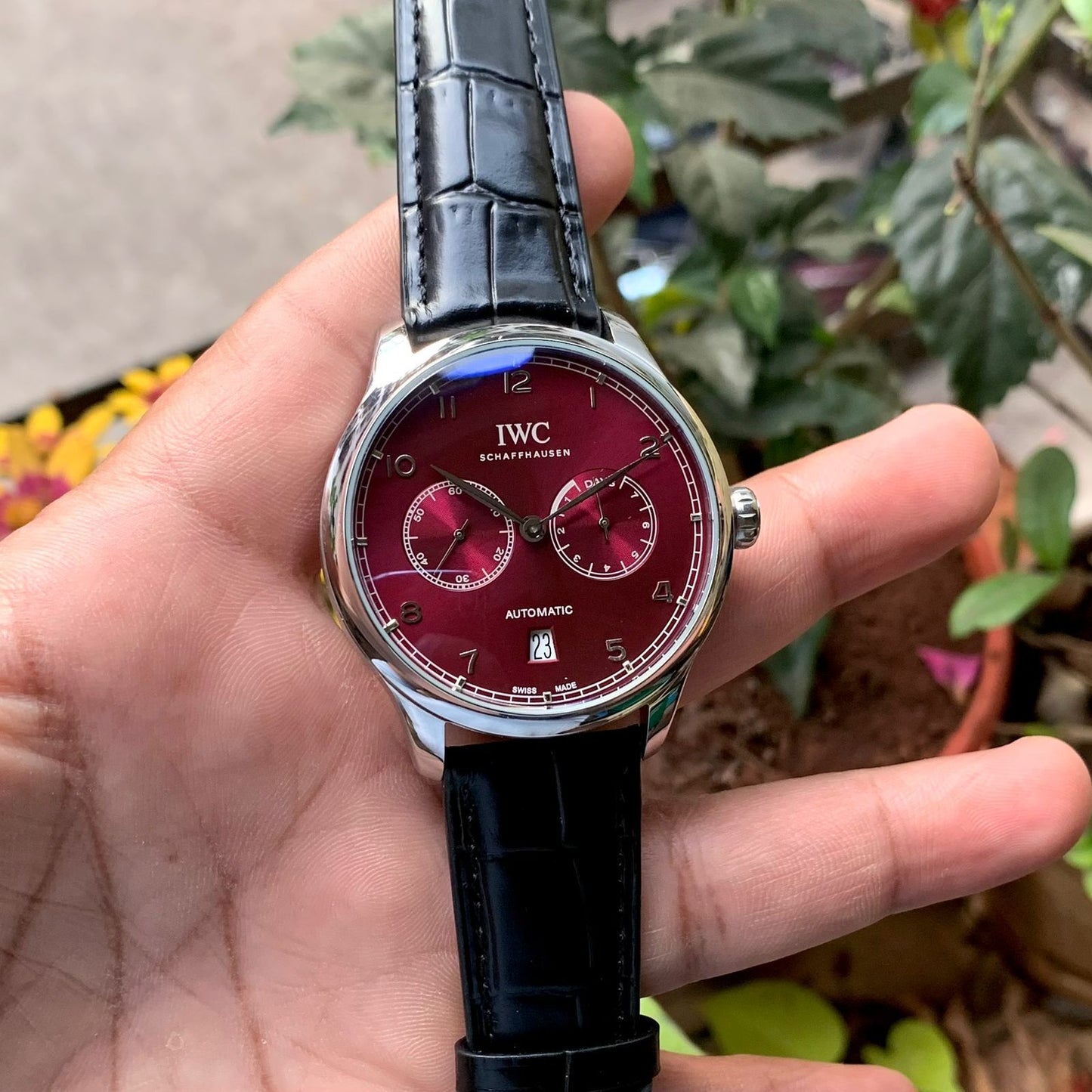 IWC Schaffhausen Portugieser Red Dial