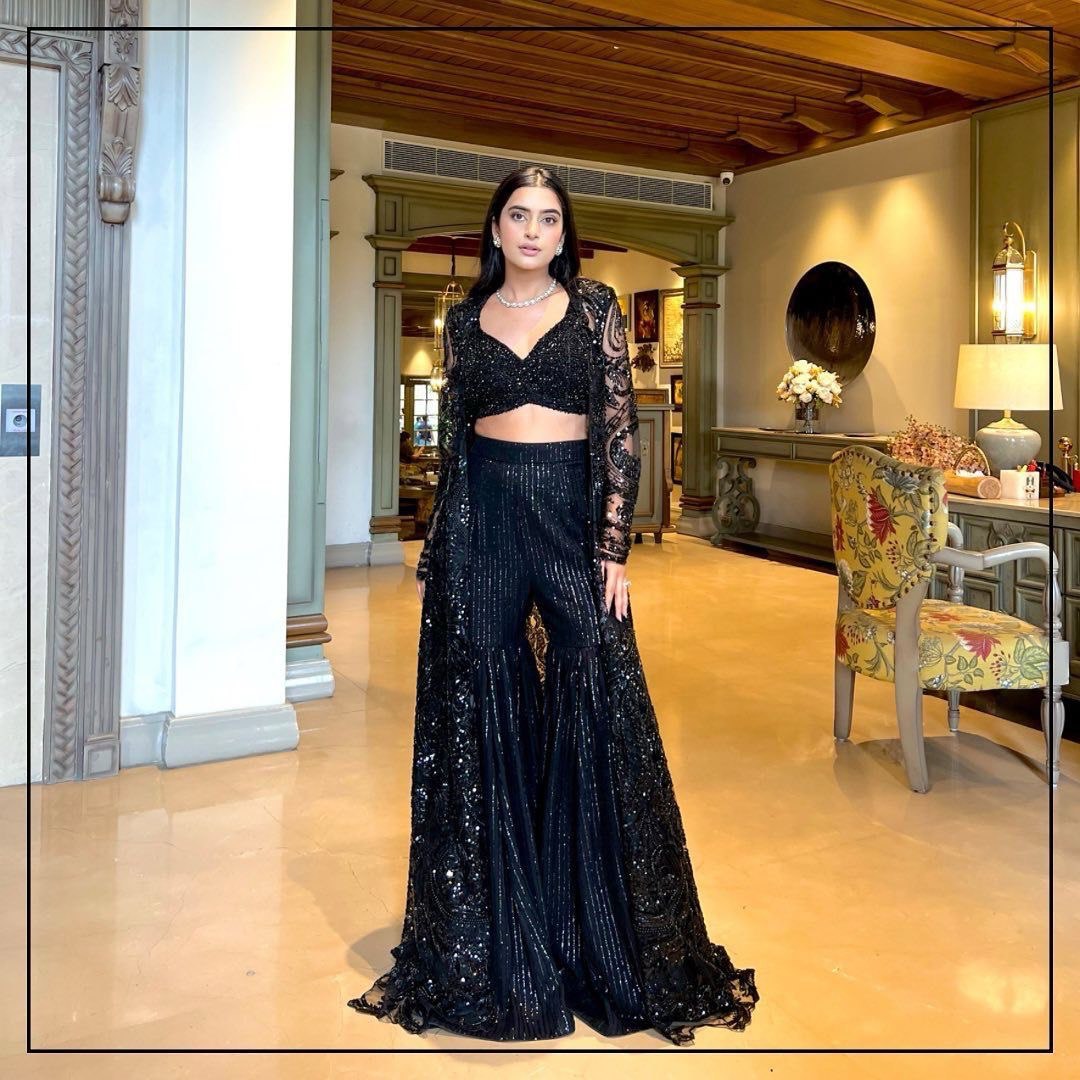 Black Ethereal Butterfly Net indo western