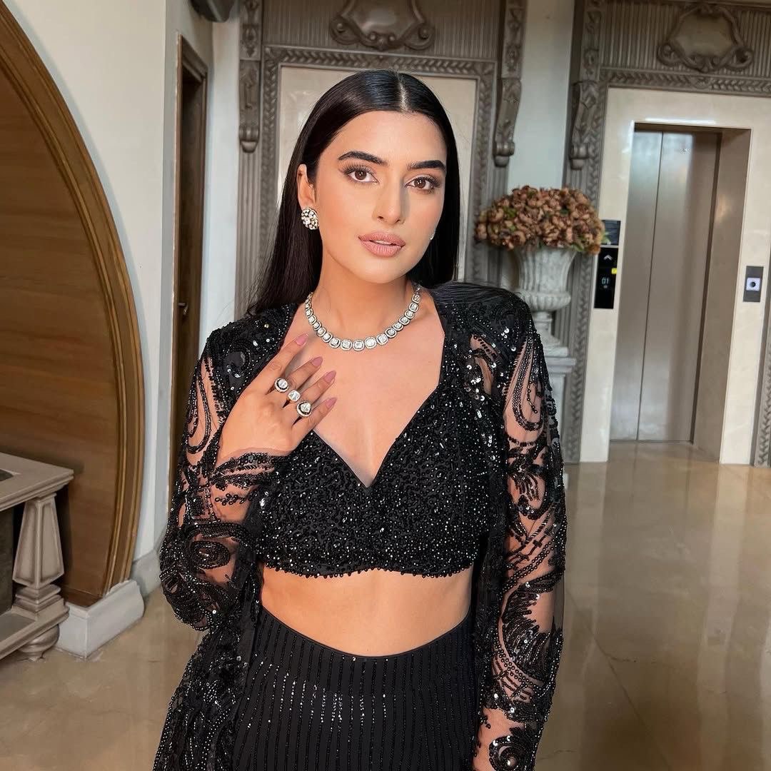 Black Ethereal Butterfly Net indo western