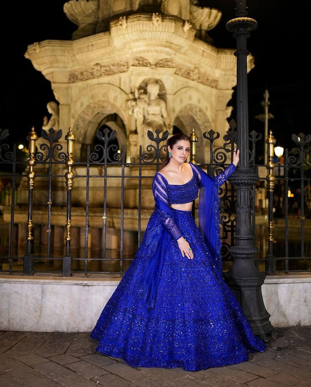 Blue Royal Butterfly Net Zari & Sequence Work Lehenga Set