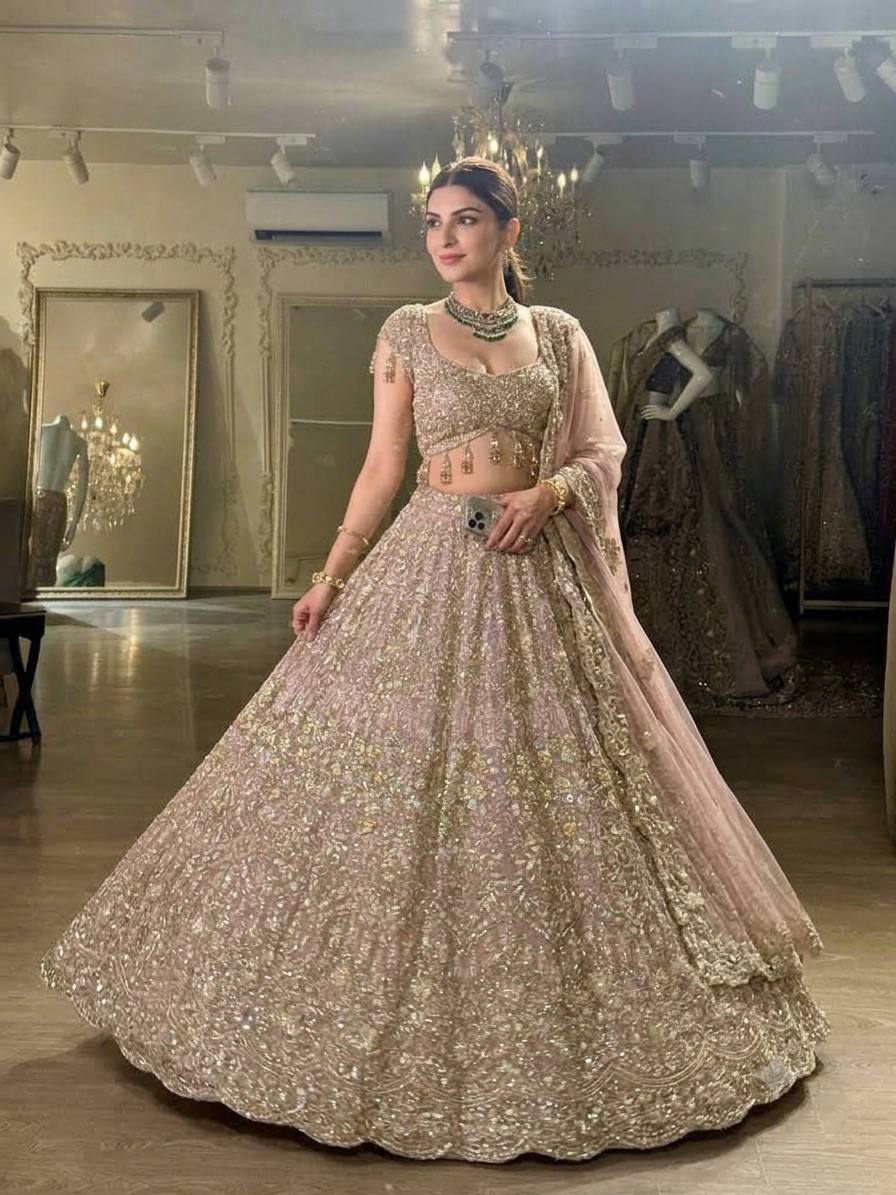 Blush Pink Net Lehenga with Dori & Zari Work