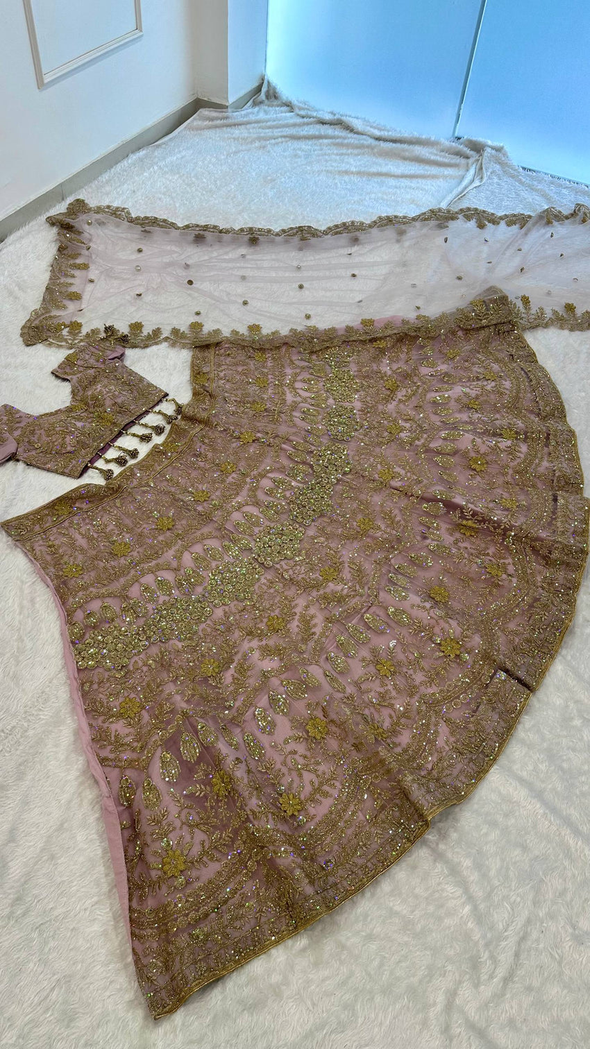 Blush Pink Net Lehenga with Dori & Zari Work