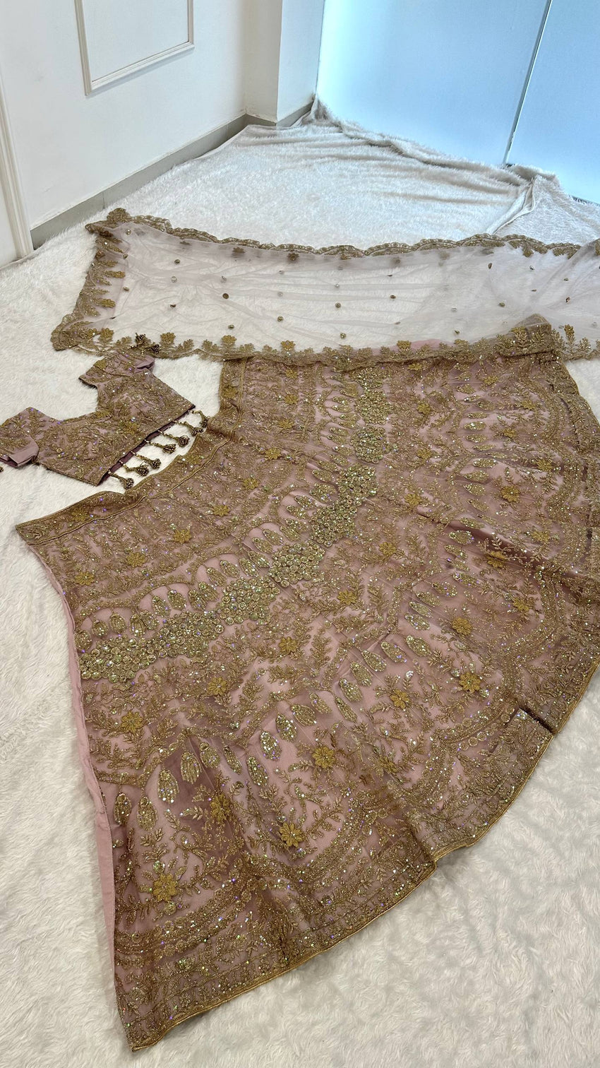 Blush Pink Net Lehenga with Dori & Zari Work