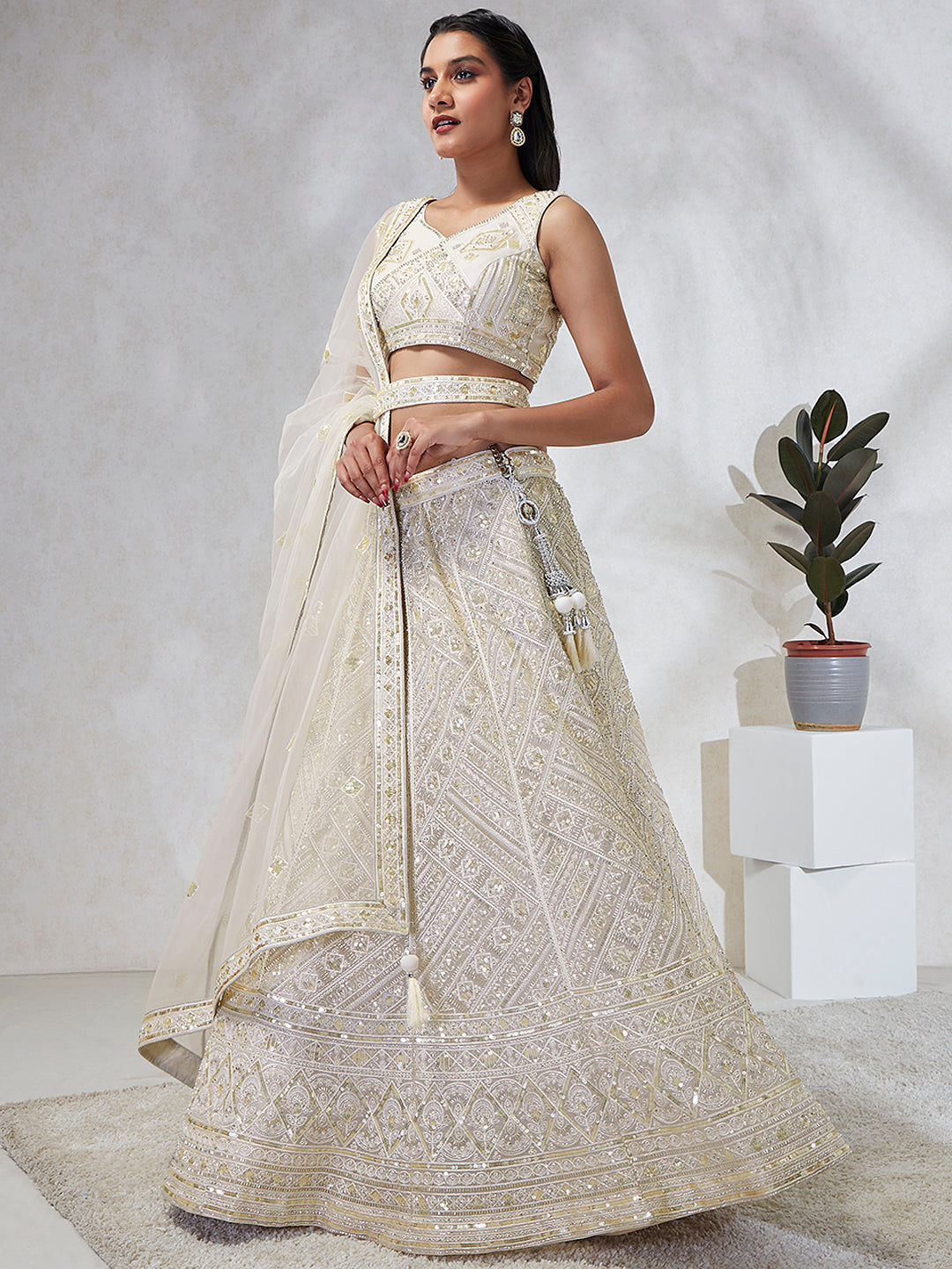 Breathtaking Cream Net Lehenga Choli Set with Cutdana, Sequin & Zarkan Work