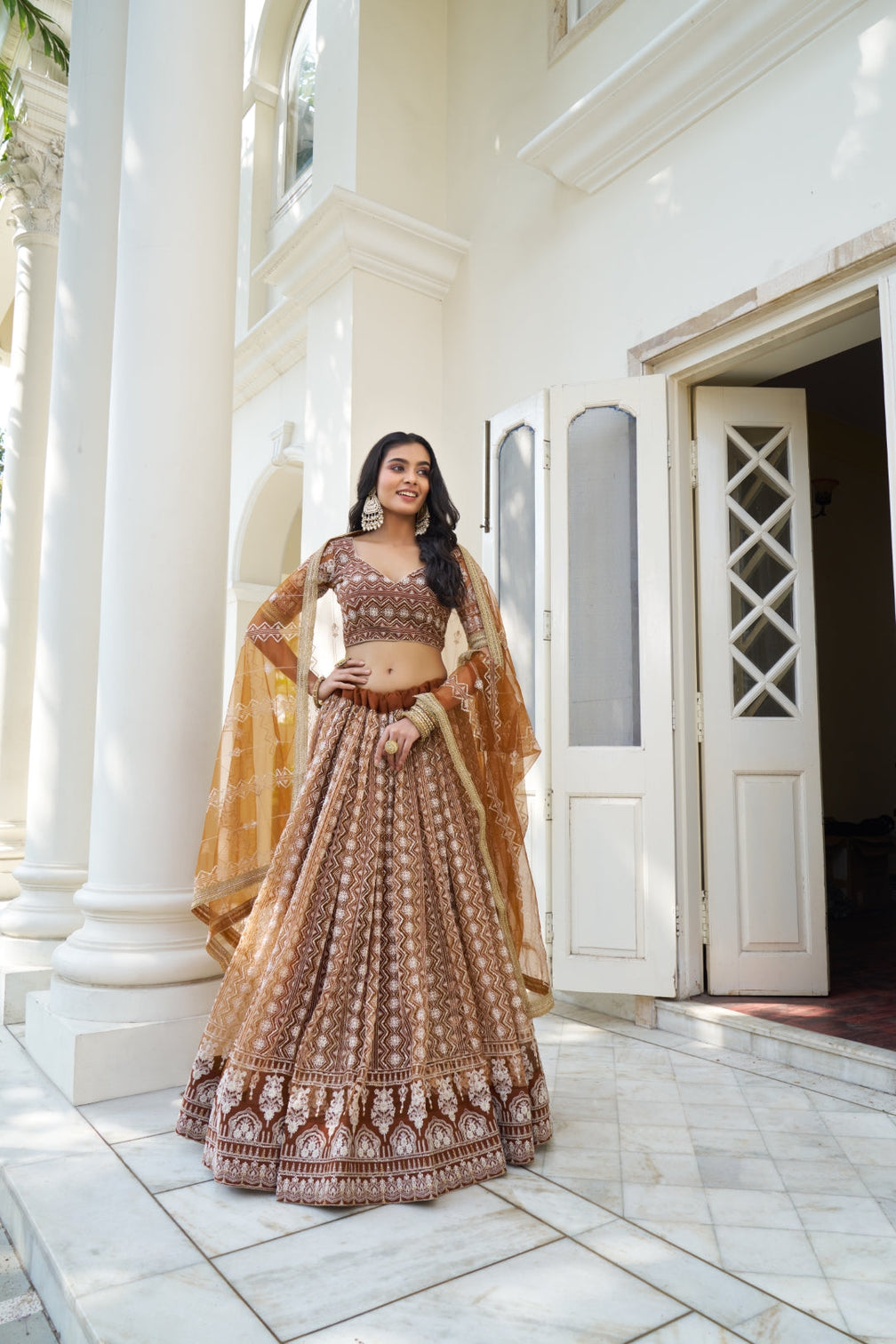 Brown Elegant Butterfly Net Lehenga with Intricate Embroidery