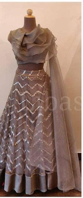 Brown Net Base Designer Lehenga Choli