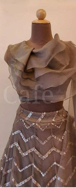 Brown Net Base Designer Lehenga Choli