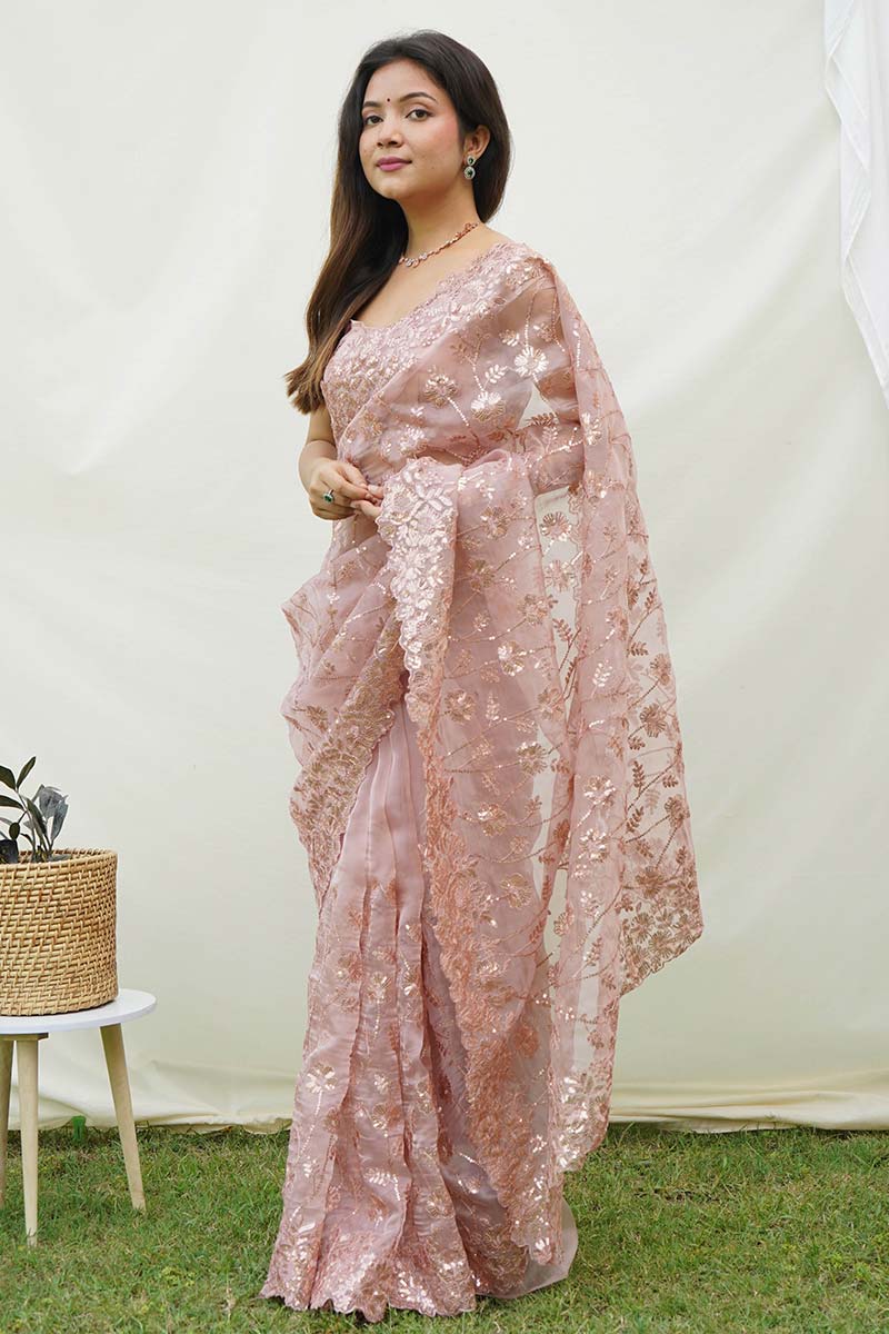Brown Soft Pure Organza Saree with Shimmering Viscose Embroidery