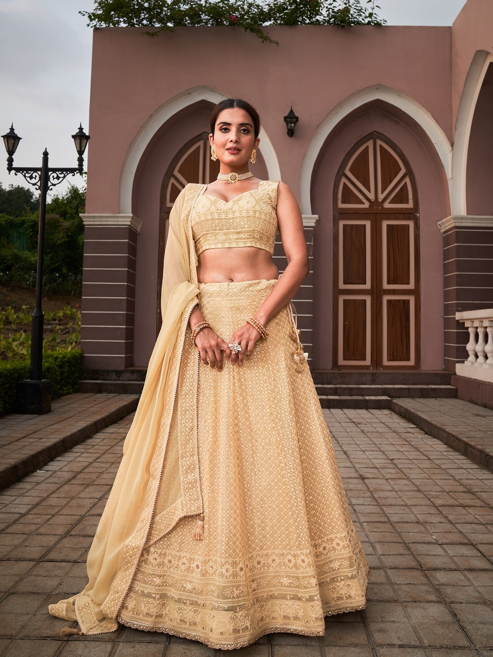 Chiku Color Lucknowi With Sequins Work Georgette Lehenga Choli
