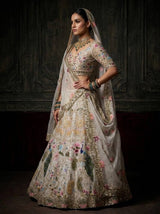 Organza Lehenga with Heavy Cut Work