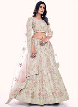 Light Green Net A Line Lehenga Choli