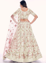 Light Green Net A Line Lehenga Choli
