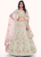 Light Green Net A Line Lehenga Choli
