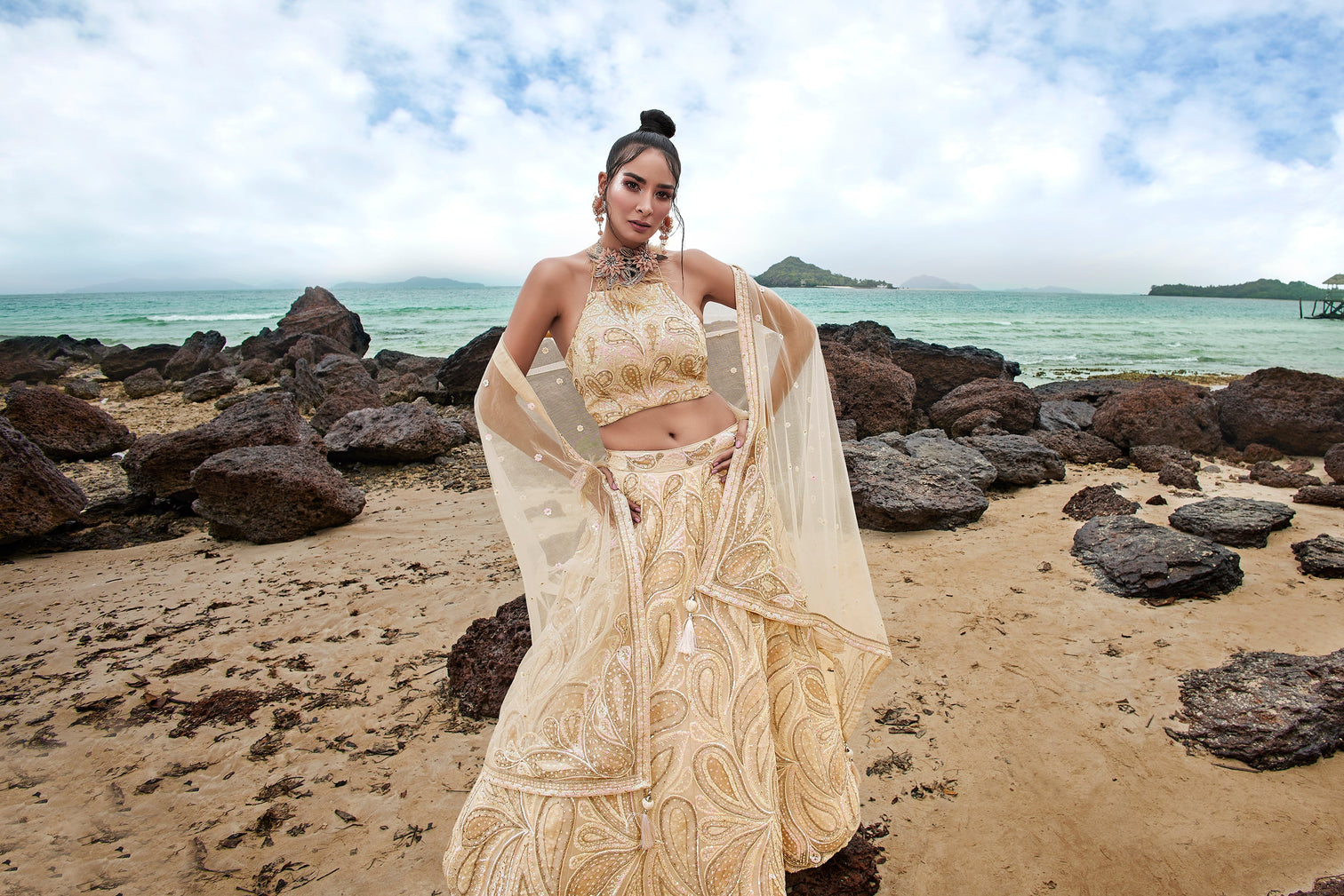 Cream Net Multi Sequins with heavy Zarkan embroidery Semi-Stitched Lehenga choli & Dupatta