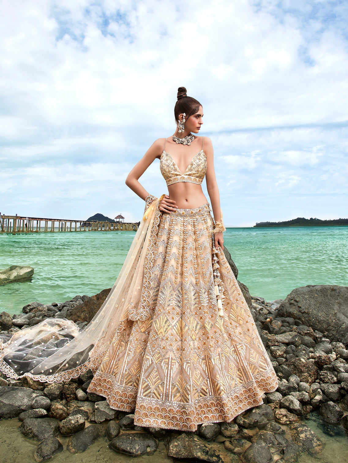 Cream Net Sequins, Zarkan and thread embroidery Semi-Stitched Lehenga choli & Dupatta