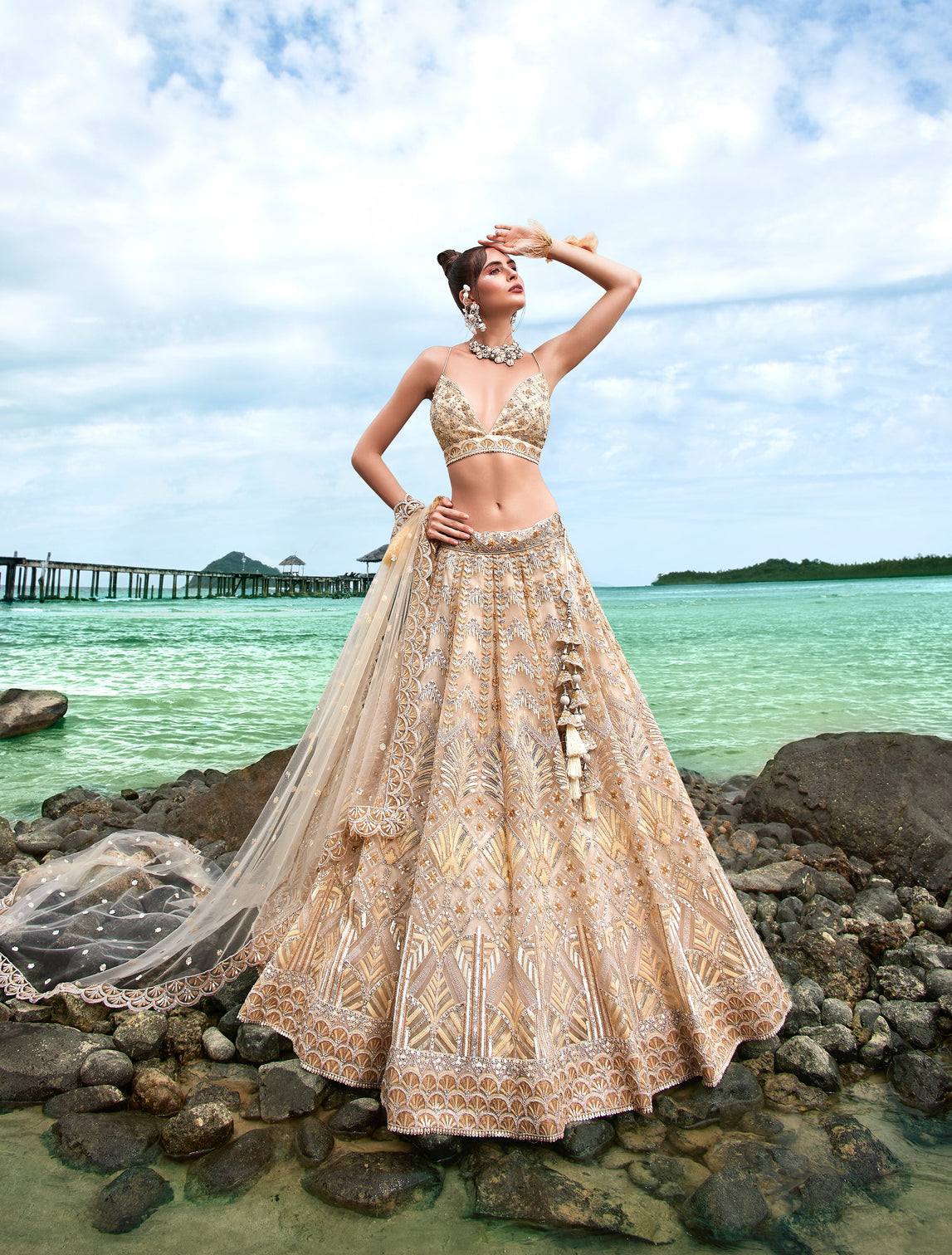 Cream Net Sequins, Zarkan and thread embroidery Semi-Stitched Lehenga choli & Dupatta