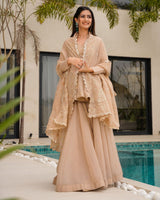 Cream Tabby Organza Work Suit Set with Plazo & Dupatta