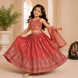 Dusty Rose Sequins Embroidered Lehenga with Heavy Chinon Dupatta