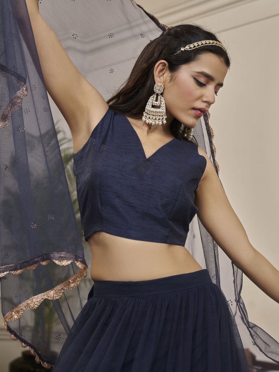 Navy Blue Net Embroidered Lehenga Choli