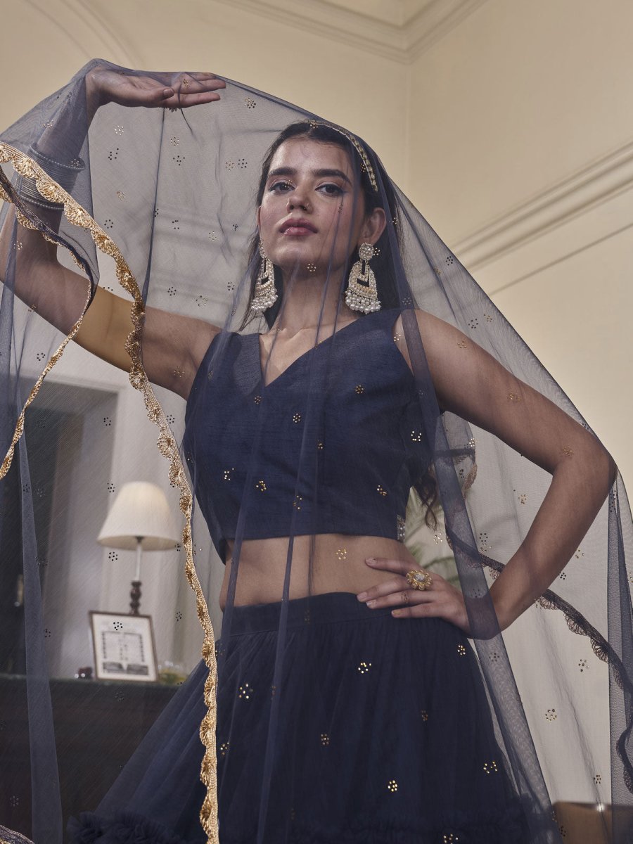 Navy Blue Net Embroidered Lehenga Choli