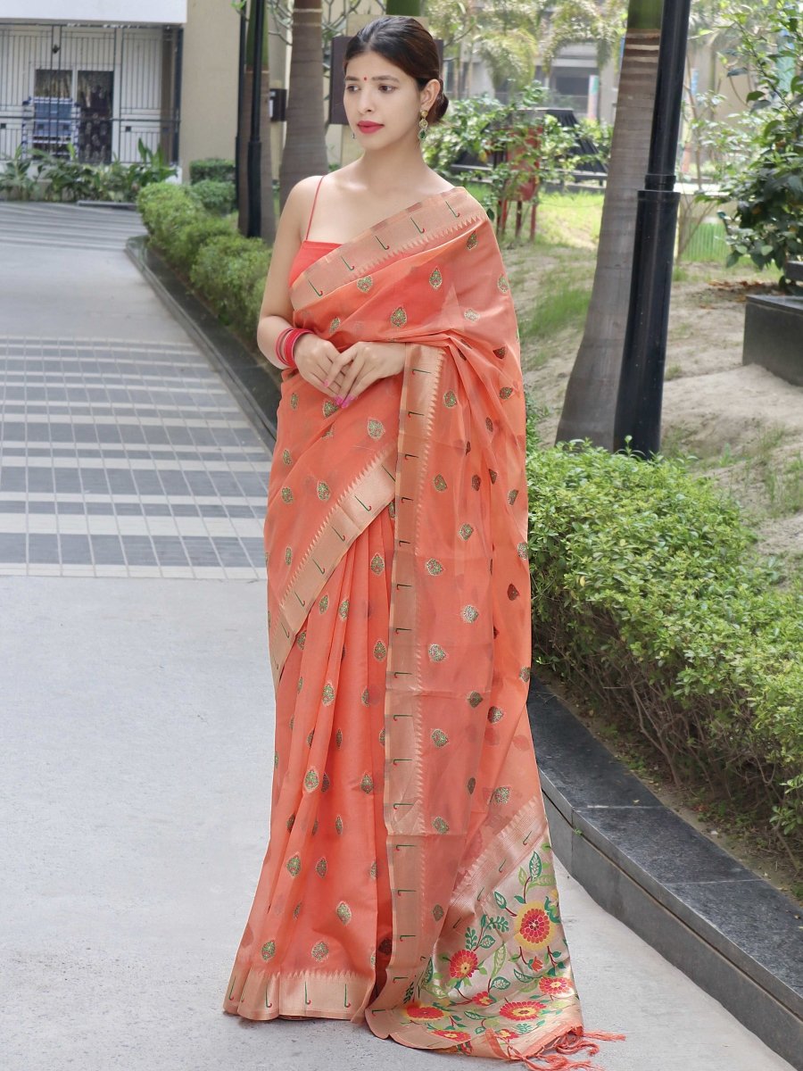Pink Saree in Paithani Organza Silk