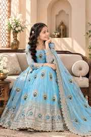 Girls Sky Blue Anarkali Gown with Dupatta