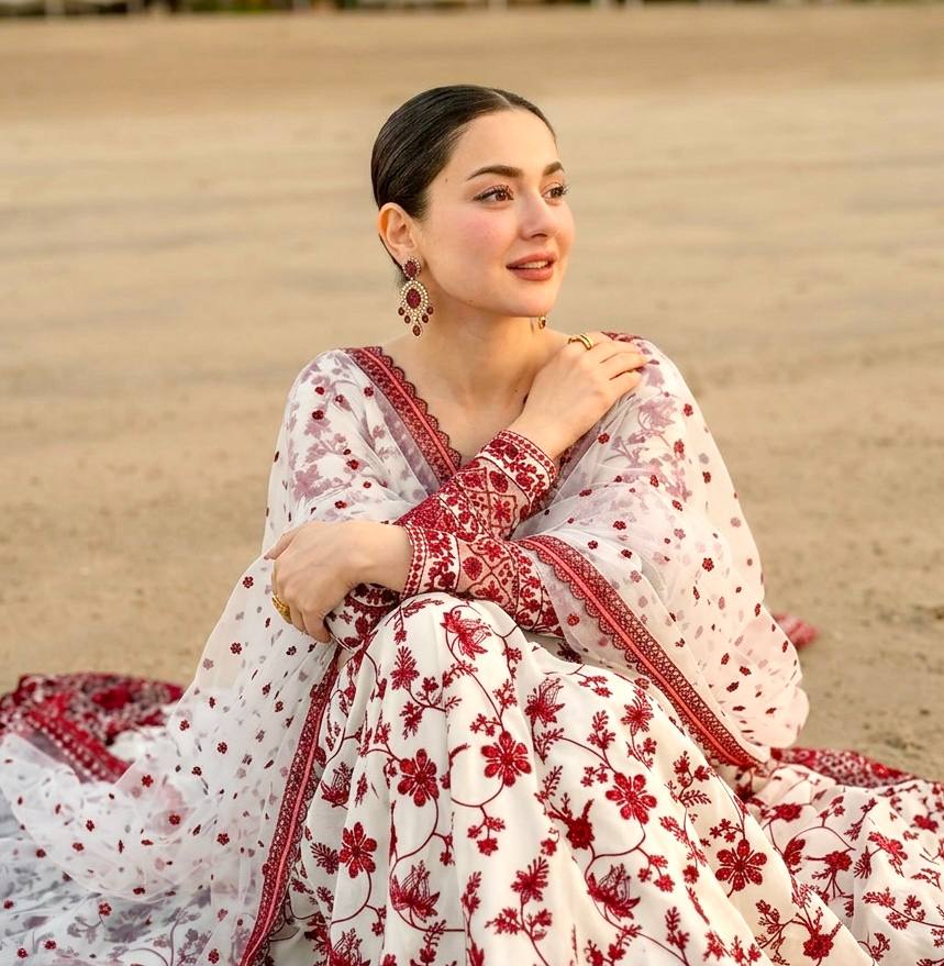 Red Georgette & Organza Silk Gown