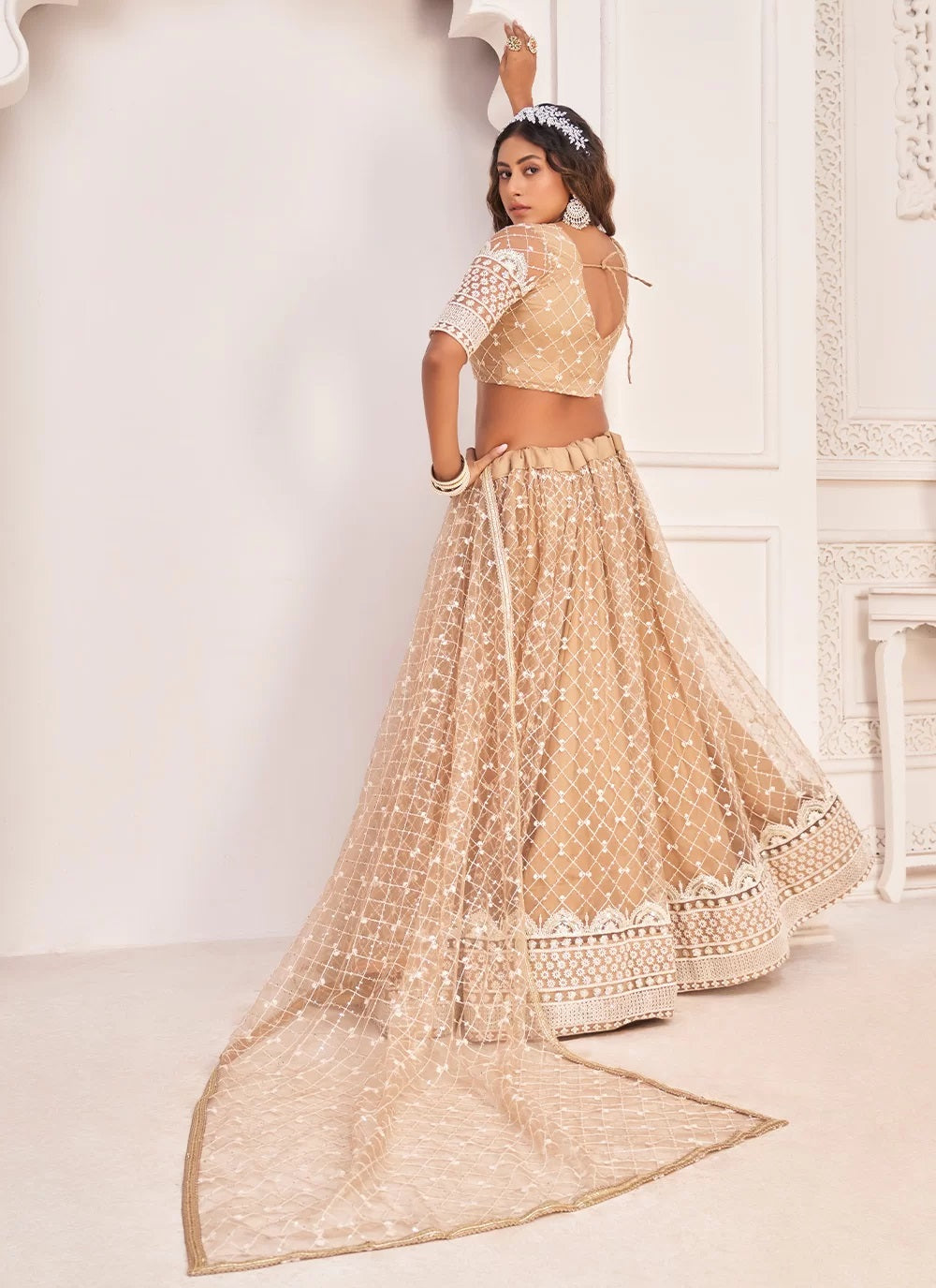 Sequence embroidered chikoo net party wear lehenga