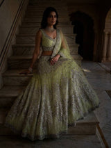 Lehenga Set with Intricate Mirror and Floral Embroidery