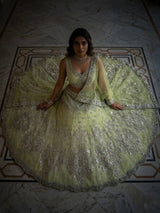 Lehenga Set with Intricate Mirror and Floral Embroidery
