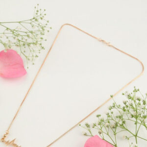 Mameraa Gold Plated Minimal Necklace - Image 1