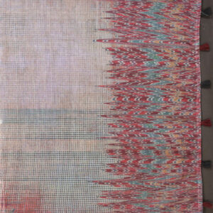 Mameraa Checked Saree With Floral Printed Border - Image 6